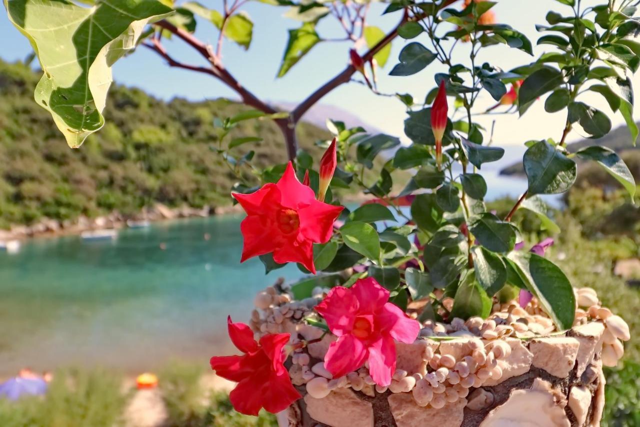 Apartments Villa Cebalo-Korcula Zrnovo Cameră foto